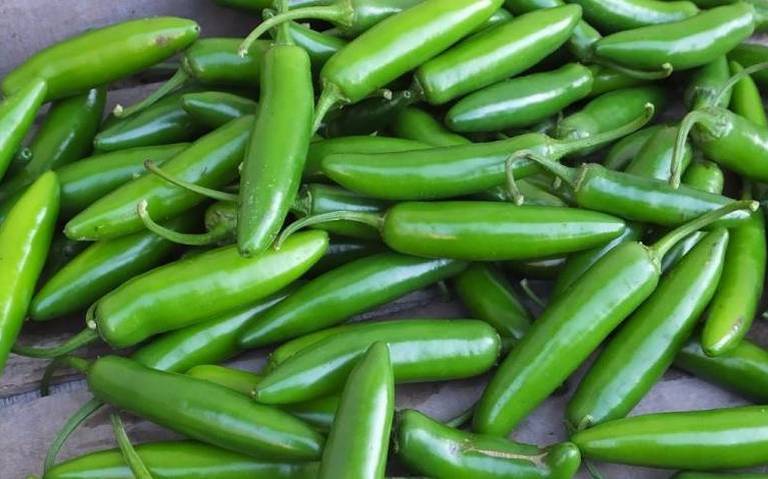 Lluvias disminuyen utilidades agrícolas por retrasos en entregas