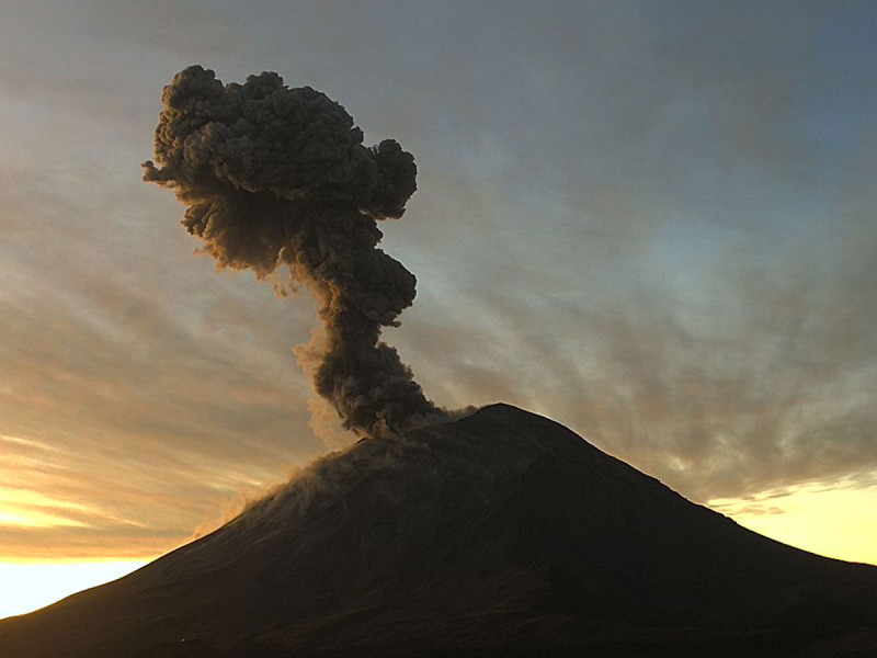 Hay 780 procesos vs Aras ante el TSJ
